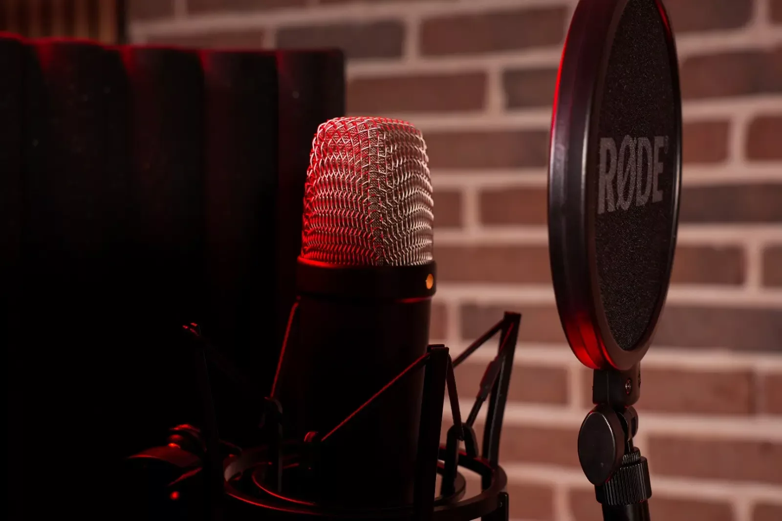 Photo du studio